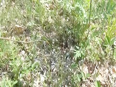 Negra gorda abusa del perro enano