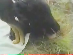 A esta rusa le va el rollo