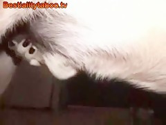 El Regreso de la Madura cachonda