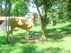 Imaginatelo