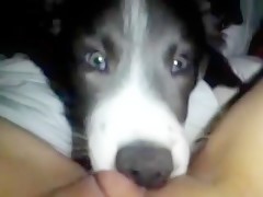 Dos lesbianas y un caballo 2