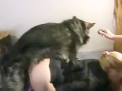 Thumb 11