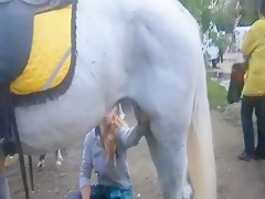 Profundo anal de caballo