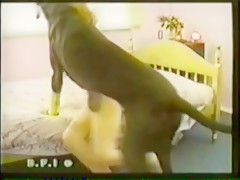 madura viciosa pajea a un caballo