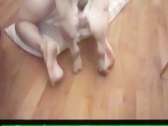 Lesbian love zootube