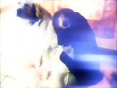 Tales from lesbian zoo