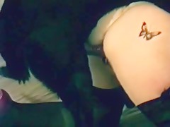 Japanese Girl whit two dog`s cook