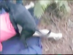 Cositas malas con el pastor aleman