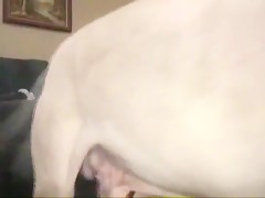 Thumb 13
