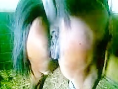 Thumb 14