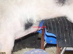vaya descontrol