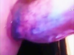 Red lingerie for the horse