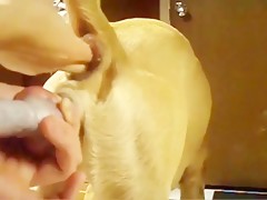 Webcam Blonde Spreading Her Pussy