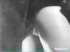 un rato en el granero