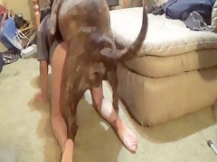 LITTEL GIRL GET FUCK BY A HUGE DOG