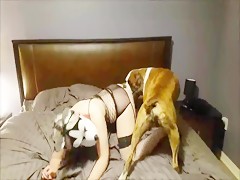 two dogs and one horny girl
