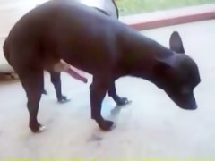 Disfrutar con mi novia