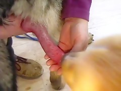 Thumb 6