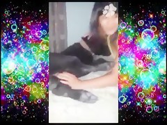 spring break dogsex - Animal Sex - Beastzoo