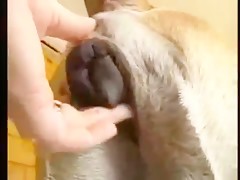 Thumb 4