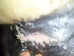Licking mares pussy