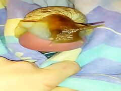 Snail 1