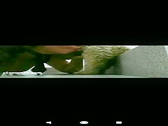 Cachorro gozando na boca da dona