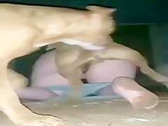 having sex with the dog at night